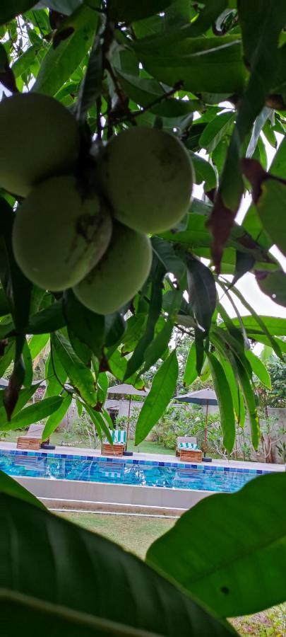 Mango Tree Villa Bentota Bagian luar foto
